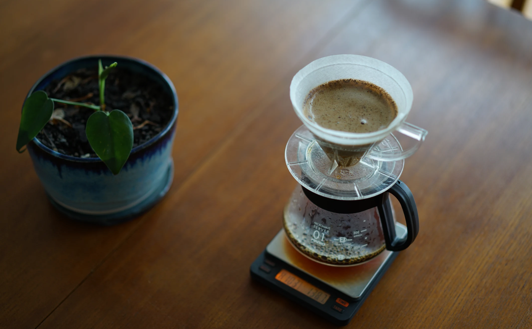 Training Log by David Train - Starting to brew
