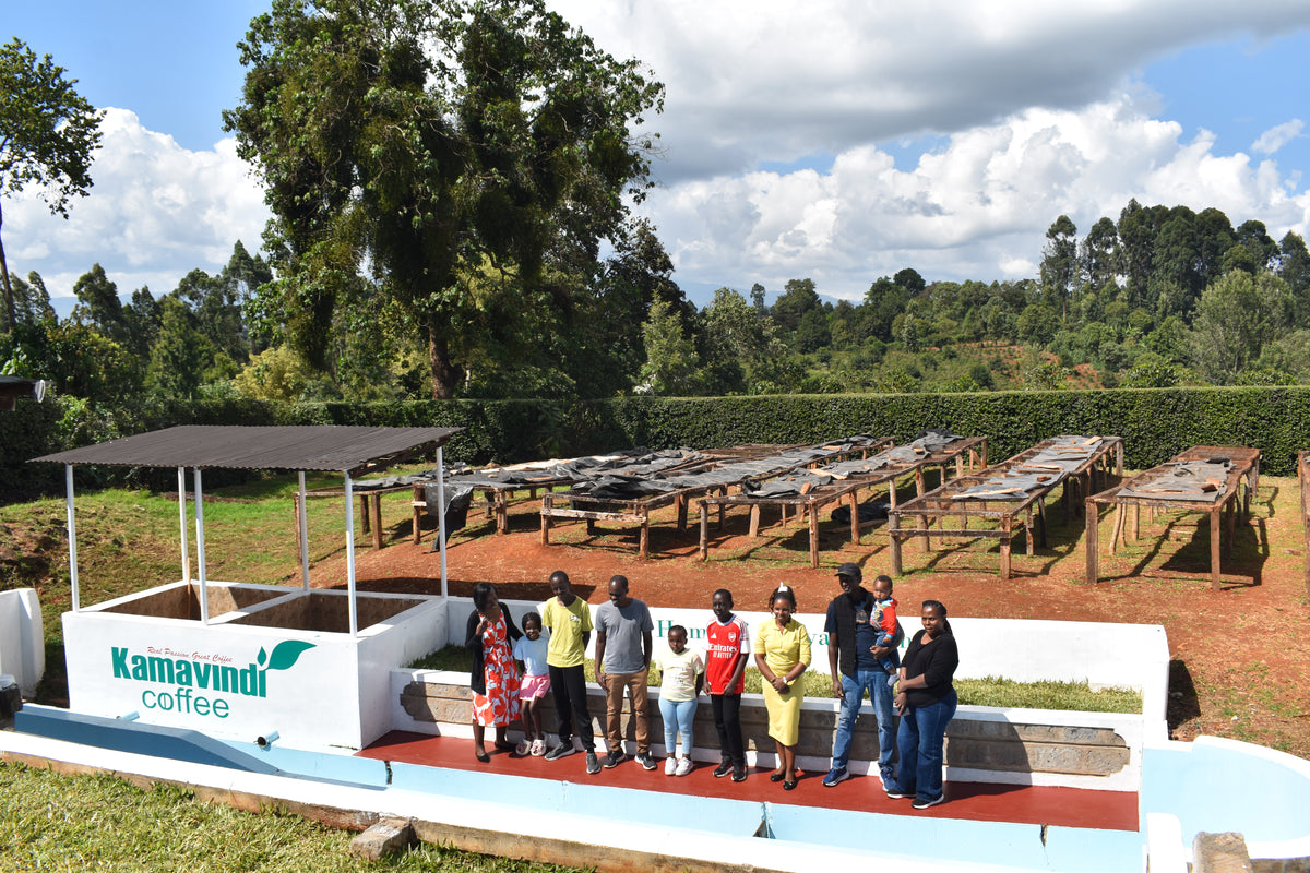 Sustainable Profile Coffee - Kenya
