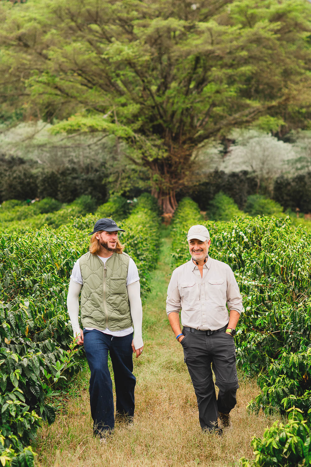 Sustainable Profile Coffee - Guatemala