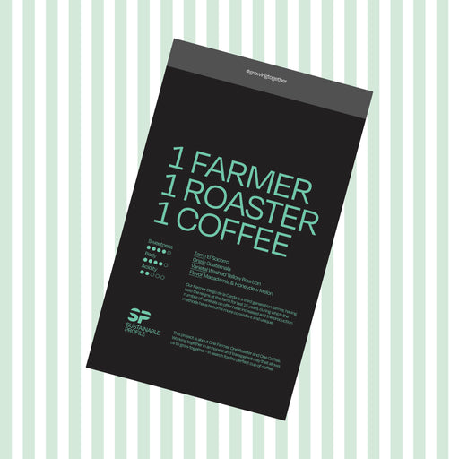 sustainable profile roasted coffee beans from guatemala, medium roast, april coffee roasters