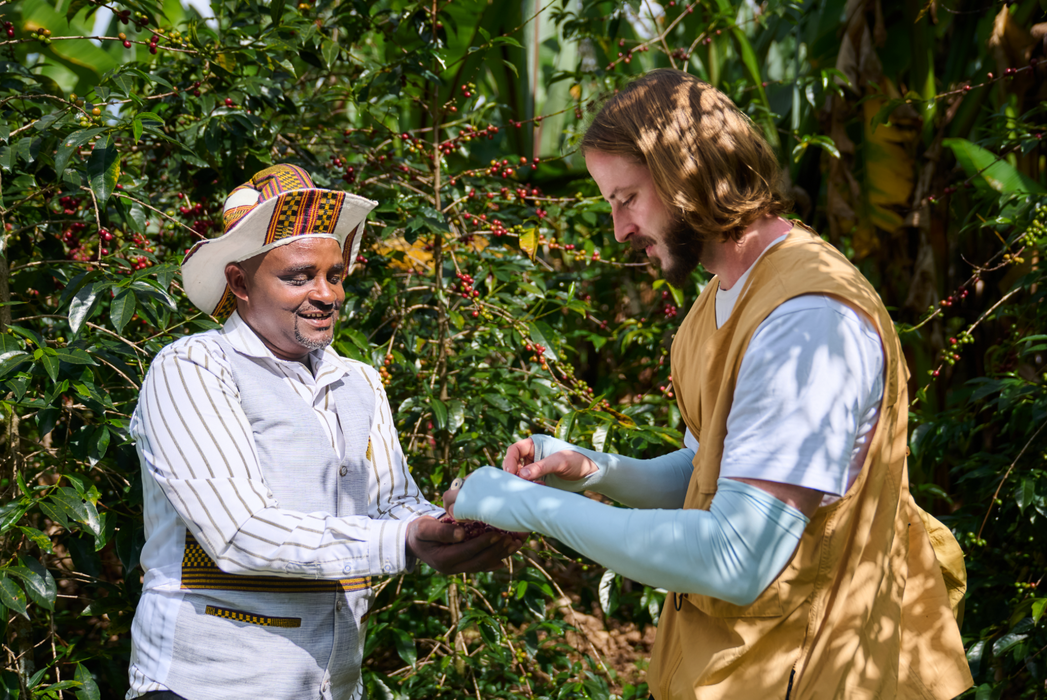 Regassa - Ethiopia - Natural Krume 74158