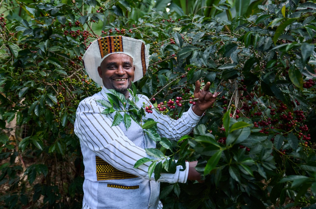 Regassa - Ethiopia - Natural Krume 74158