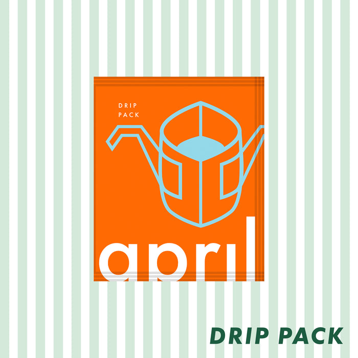 El Socorro - Natural Maracaturra - Drip Pack